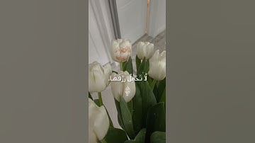 #اسلام_صبحي :ٱلَّذِينَ صَبَرُواْ وَعَلَىٰ رَبِّهِمْ يَتَوَكَّلُونَ #islamsobhi #القارئ_اسلام_صبحي