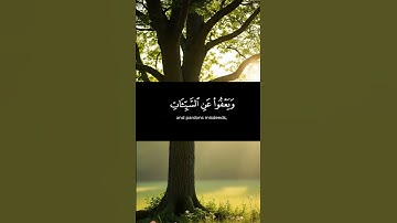 القران الكريم ياسر الدوسري صوت عذب #القرآن_الكريم #اكسبلور #المصحف #القرآن