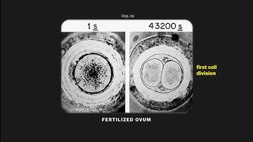 116 images NASA wants aliens to See!/NASA/ALIEANS