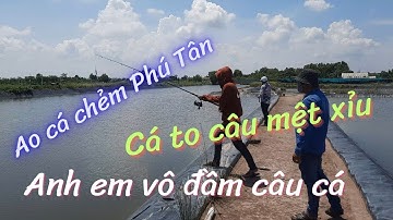 TRẢI NGHIỆM CÂU CÁ CHẺM TẠI AO PHÚ TÂN, TÂN PHÚ ĐÔNG, TIỀN GIANG. ĂN CHẮC MẶT BỀN, THẢI LÀ LỤM