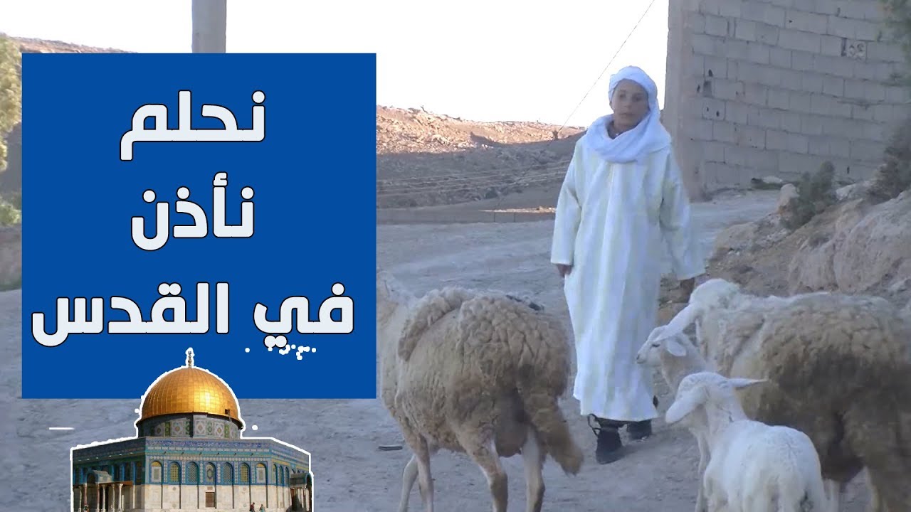 الطفل لزهاري خدومة.. راعي الغنم الذي يحلم برفع الآذان في القدس