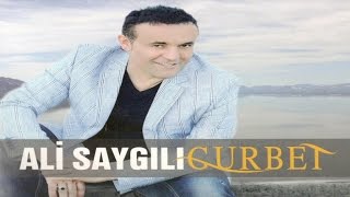 Ali Saygılı - Dam Üstüne Çul Serer - En Güzel Türküler