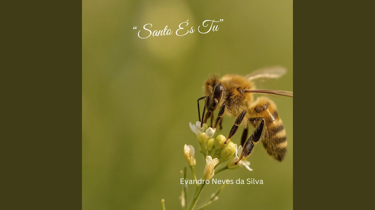 Santo És Tu