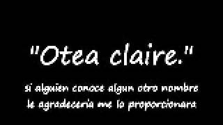 Video thumbnail of "otea claire"