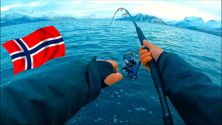 SO MANY BIG FISH IN NORWAY! Fishing from the Boat ...