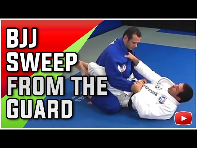 THE MASTERS GUARD 柔術 BJJ Brazilian Jiu Jitsu - Sweeps and Reversals from the Guard