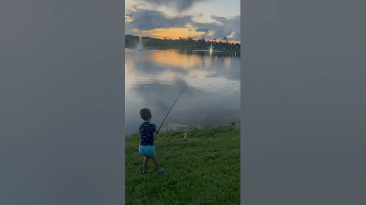 Alligator charges from water to steal Florida boy's fish in viral sneak attack - DayDayNews