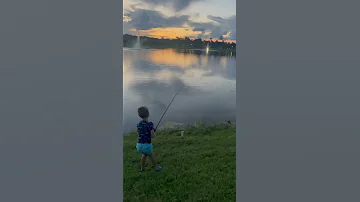 Alligator charges from water to steal Florida boy's fish in viral sneak attack