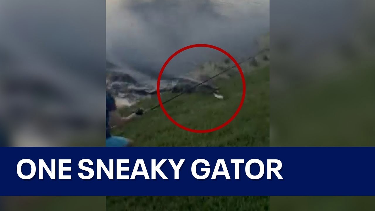 Alligator charges from water to steal Florida boy's fish in viral sneak attack [FL fresh water]