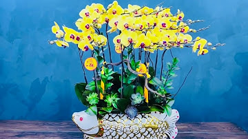 [Anna House] HCM - Cá chép hóa rồng đưa ông Táo về trời, Lộc lá đầy nhà 🍀