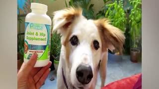 Julia Love our Joint Supplement for Dogs