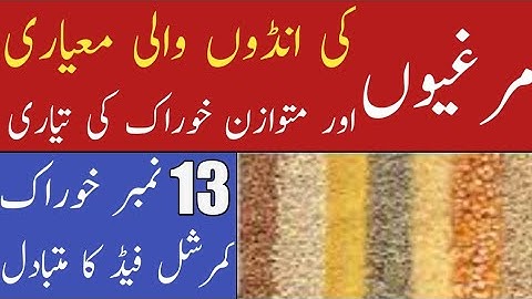 13 number feed formula| 13 number feed ingredients |Desi feed for eggs production