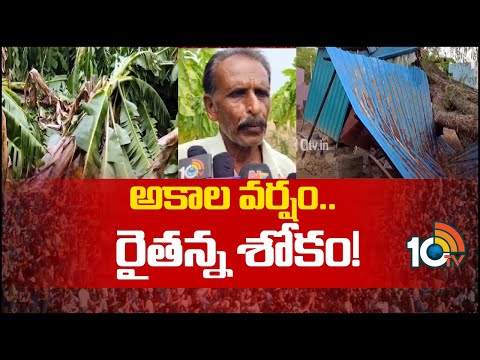 Farmers Suffering With Unseasonal Rains | పుట్లూరు మండలంలో పండ్ల తోటలకు భారీ నష్టం | 10TV - 10TVNEWSTELUGU