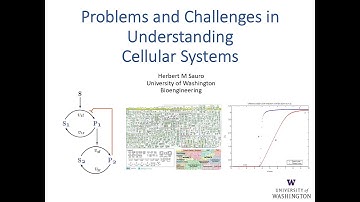 WG Seminars: Sauro, Dynamics and Sensitivity of Signaling Pathways, September 15, 2022