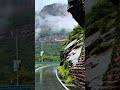 Misty Mountain Road Drive 🌧️⛰️ | Nature's Paradise #Shorts#MountainRoad #NatureVibes #RainyDrive
