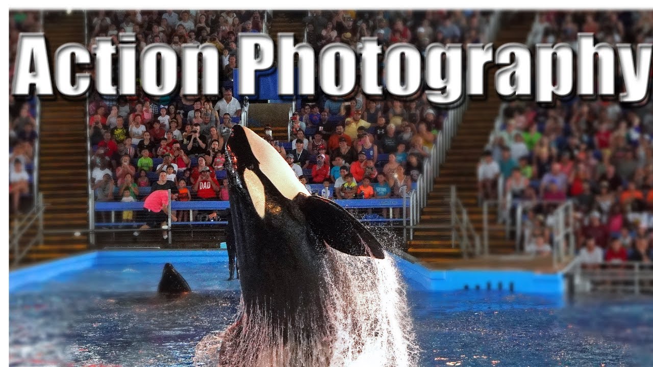 Best Settings for Sport and Action Photography Sony A6600 A6400 YouTube