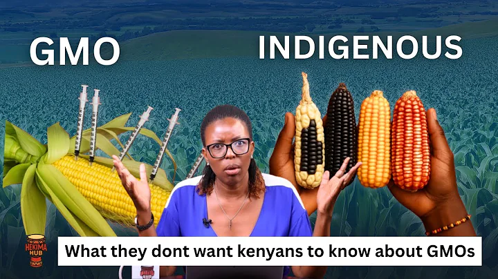 The Unfortunate Truth About GMOs | Genetically Modified Foods