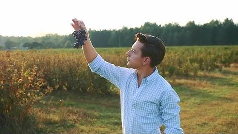 Man Testing Ripening Of Grapes Stock Video