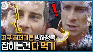 베어의 추석! 잡채는 지렁이, 유과는 유충으로 대체되었다! [Man vs Wild]