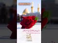 دعای روز شانزدهم ماه مبارک رمضان ویژه استوری اینستاگرام