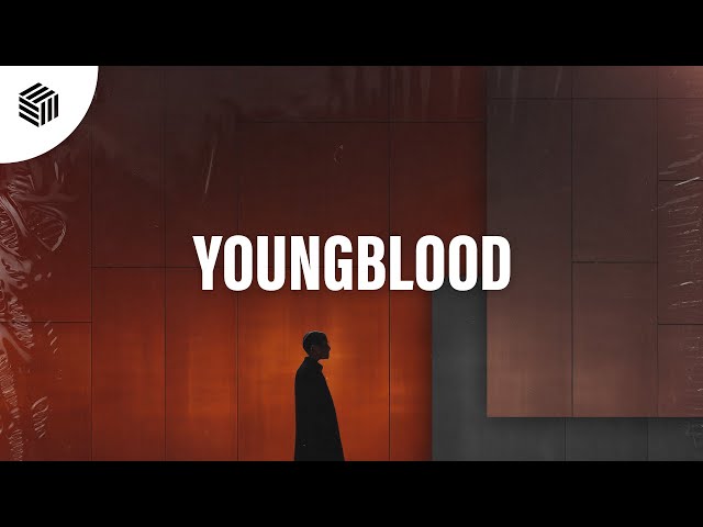 Gulmee, Dylan Baksalara & Mal feat. Acko - Youngblood