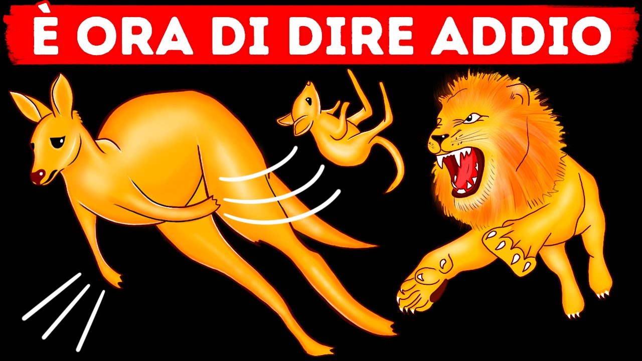 80+ Fatti Curiosi che Continuo a Cercare su Google, e che Farai Anche Tu