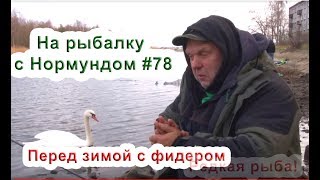 видео: Перед зимой с фидером. Ловим редкую рыбу! На рыбалку с Нормундом #78 картинка: Перед зимой с фидером. Ловим редкую рыбу! На рыбалку с Нормундом #78
