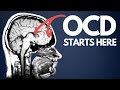 Ocd explained for beginners  how i wish i was taught