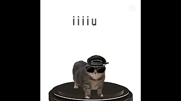 Oai Cat Sings Fein 