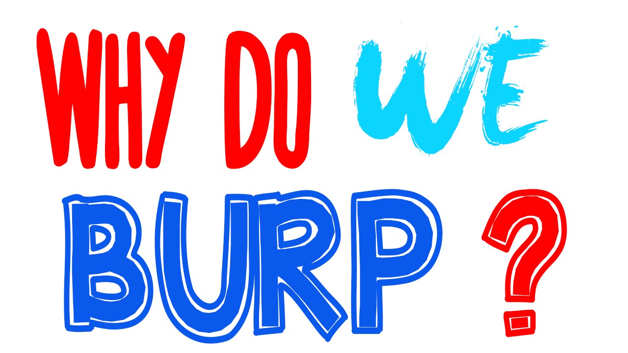 Why Do We Burp - What Makes Us Burp? Amazing Science Facts Videos
