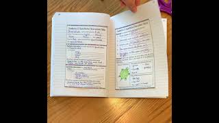 How to Set up Your Science Interactive Notebook