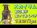 スカイリム 初心者が知っておきたい12のヒント!
