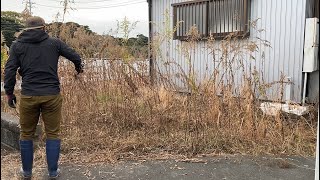 【ボロ戸建て】【不動産投資】庭の草達と戦ってきたｗｗ