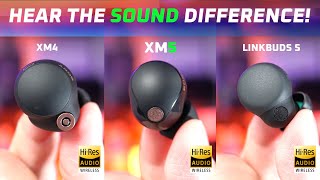 A Rip Off? 🤔 Sony WF-1000XM5 vs WF-1000XM4 vs LinkBuds S