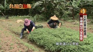 「艾的世界」拚經濟　茶鄉轉型艾草飄香20200704【台灣向錢衝】PART3