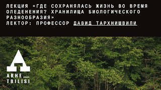 Давид Тархнишвили:"Где сохранялась жизнь во время оледенения? Хранилища биологического разнообразия"