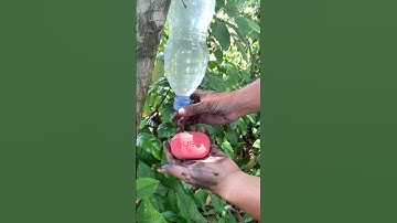 Survival Skill Soap HACKS to Save You Money and Time Now