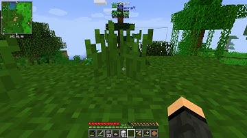 FTB: Interactions ::: Overworld ::: FTB:I-4