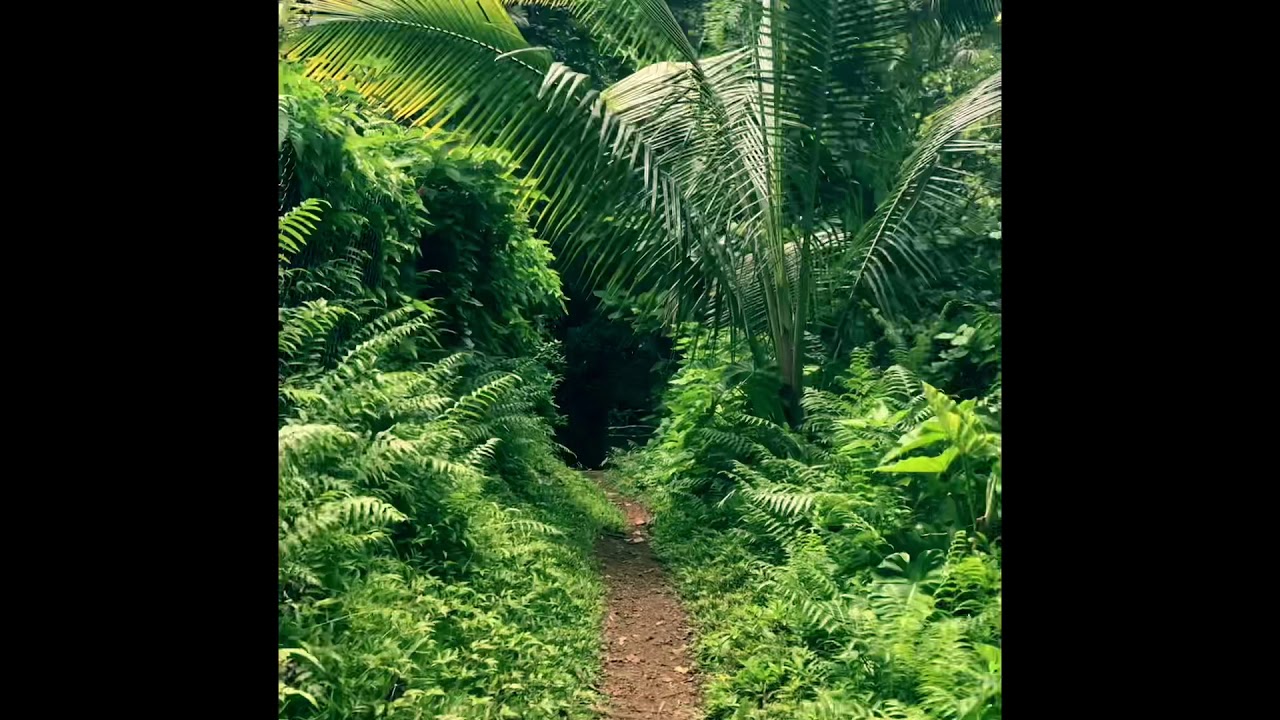 Big Island Hawaii YouTube