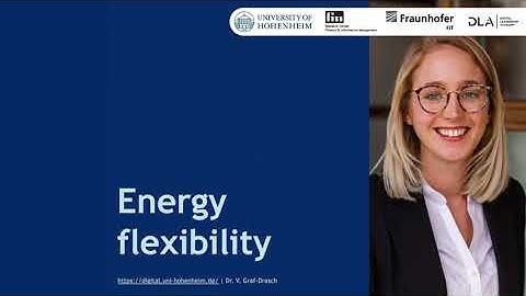 Energy flexibility (6:45 minutes)