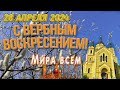 С Вербным воскресением! 28апреля 2024  Каждому мира и добра!