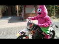 COSPLAY PATRICK STAR MENCOBA NAIK MOTOR TRAIL - ON MY WAY ALAN WALKER INSTRUMENT