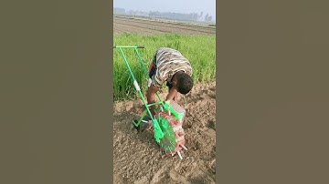 Makka bone wali machine