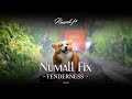 Numall fix  tenderness free mix royalty free music