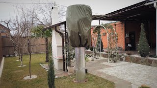 :    ,  ,  6! Palme einpacken Winterschutz Bonsaina