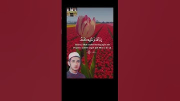 #تلاوةعراقية مؤثرة  #تلاوات #قران_كريم #تلاوة_هادئة #قرآن #تجويدعراقي #تلاوةخاشعة