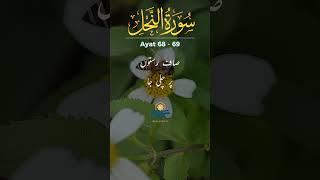 Surah An-Nahl Ayat 68-69 | Miracle of Honey 🍯 | Quran with Urdu Translation | #shortsfeed