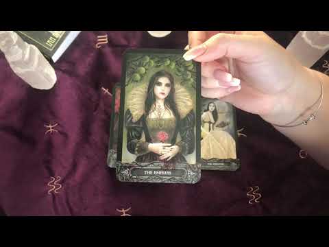 tarot-of-vampyres-walkthrough-✨