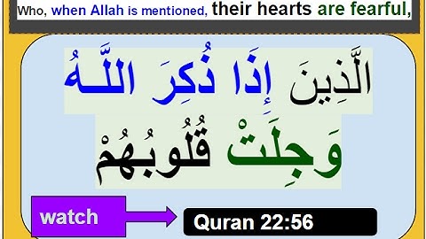 SURAH 22 / AL-HAJJ   AYAH 56  ALLAH INFORMS US ABOUT THE HEART OF MUSLIM