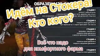 DOZ/Стокер Гайд! Фармим комфортно! Быстро Четко